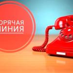 ГОРЯЧАЯ ЛИНИЯ ПО ТРУДОУСТРОЙСТВУ УЧАСТНИКОВ СВО